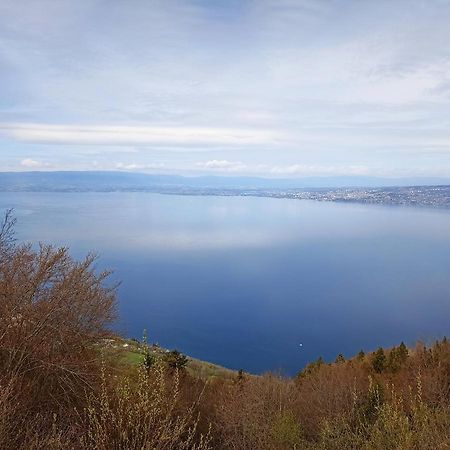Appartement T2 Ideal Pour Une Famille Thollon-les-Memises Екстериор снимка