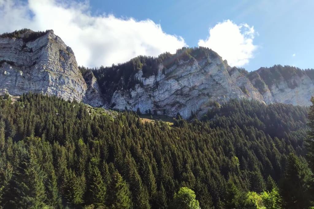 Appartement T2 Ideal Pour Une Famille Thollon-les-Memises Екстериор снимка