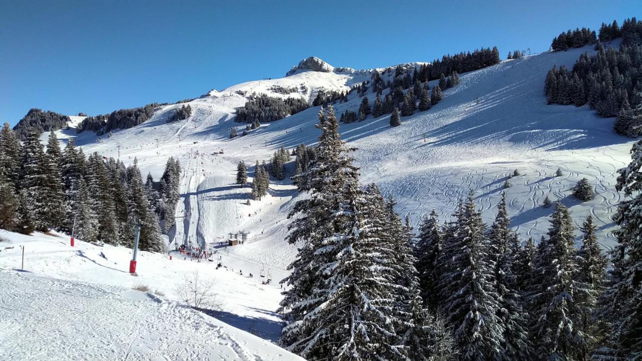 Appartement T2 Ideal Pour Une Famille Thollon-les-Memises Екстериор снимка